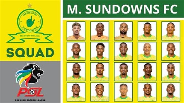 Mamelodi Sundowns FC - Transfers 23/24
