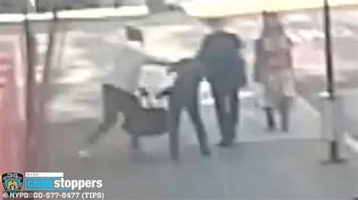 Man arrested in 'unprovoked attack' on Macy's employee