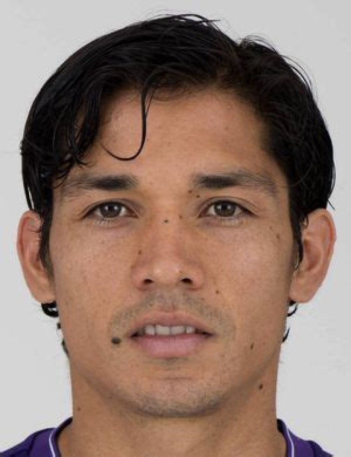 Matías Fernández - Player profile
