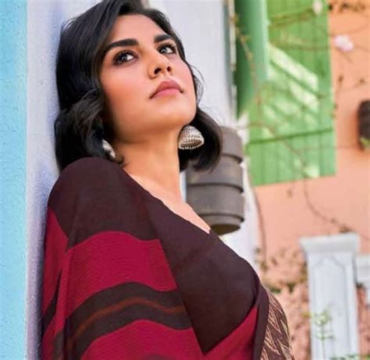 Meenal Sahu Bio, Career, Age, Height, Relationship, Affairs, Net Worth 2023, Controversy and More
