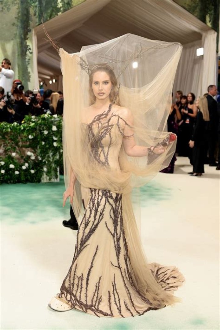 Met Gala 2024: All The Celebrities Who Are Banned From Attending The Show ft. Demi Lovato, Zayn Malik & More