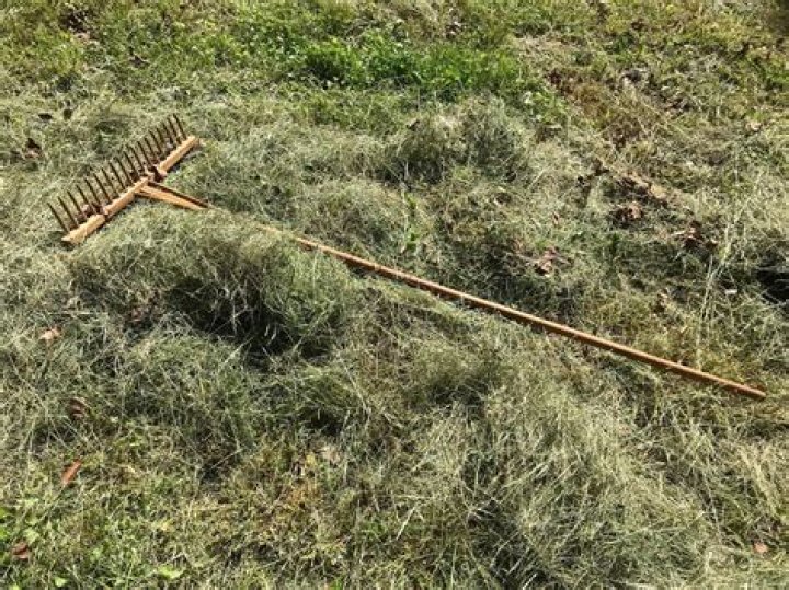 Metaphors of the Month! From the Garden…