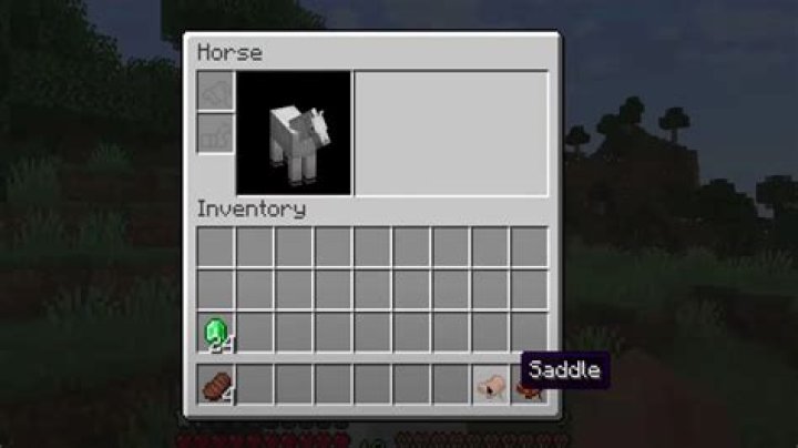Minecraft: How to Get a Saddle