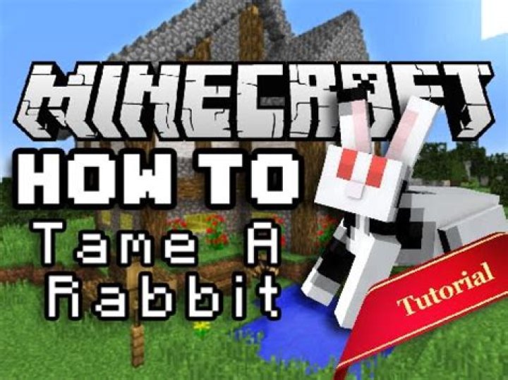 Minecraft: How to Tame a Rabbit