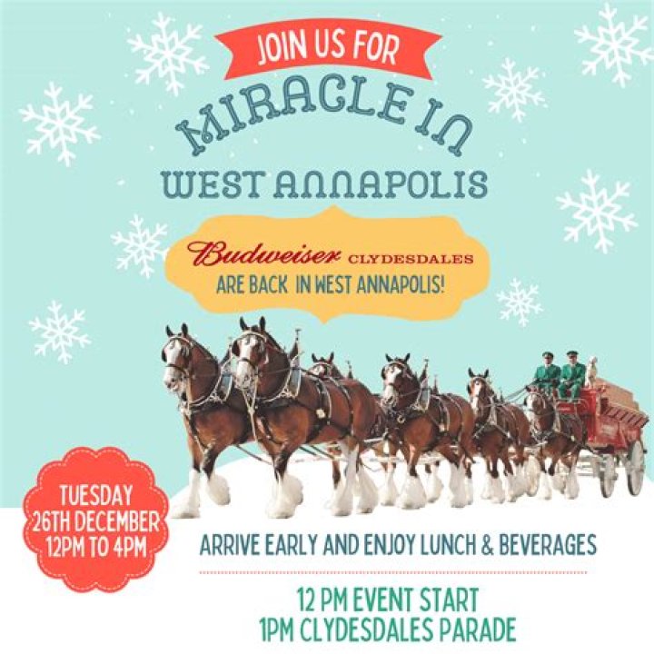 🐎 Miracle in West Annapolis