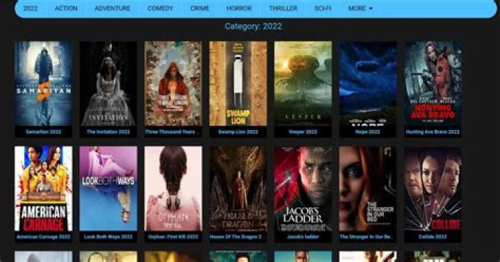 MKVCinem: The Ultimate Source For Movie Lovers