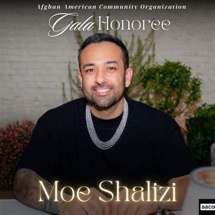 Moe Shalizi Net Worth 2024