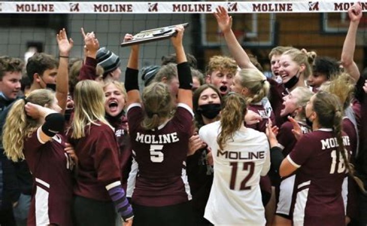Moline Volleyball wins 2-0 on Senior night