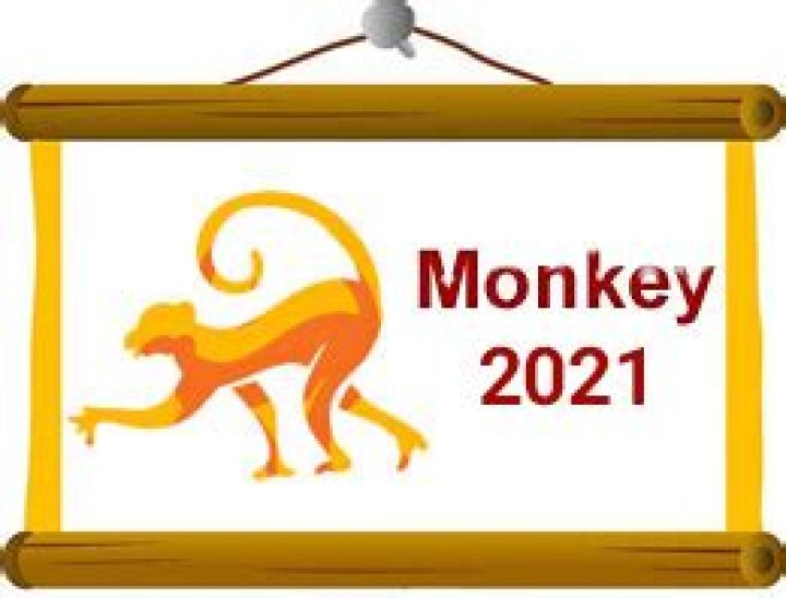 Monkey Horoscope 2021 - Chinese Zodiac Monkey 2021 in love, career, health and wealth