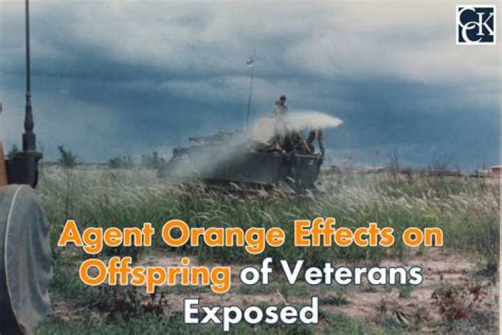 More diseases covered for veterans suffering from Agent Orange effects