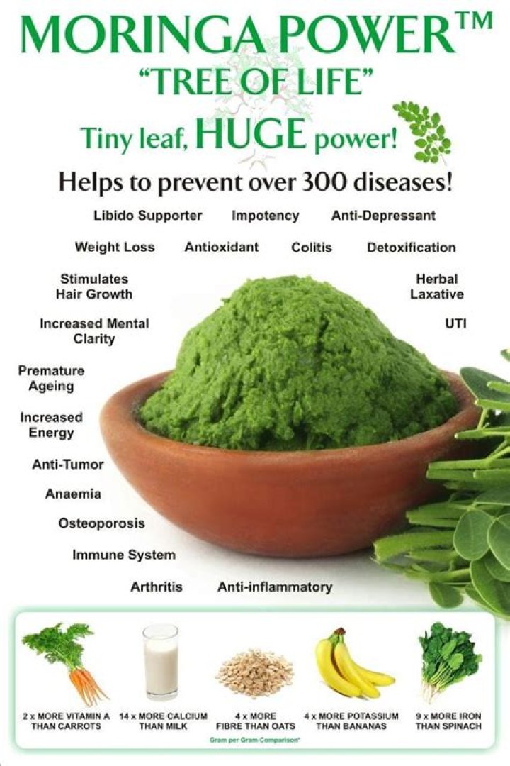 Moringa Powder: Health Benefits, Uses & Ways to Fit it Into Your Diet