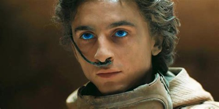Mother Of Dune Star Timothée Chalamet