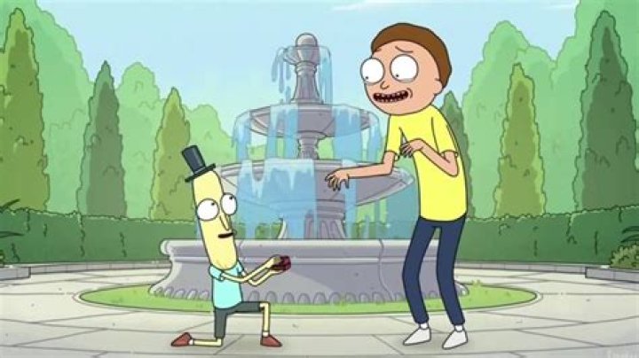 Mr. Poopybutthole Is A Version Of Morty