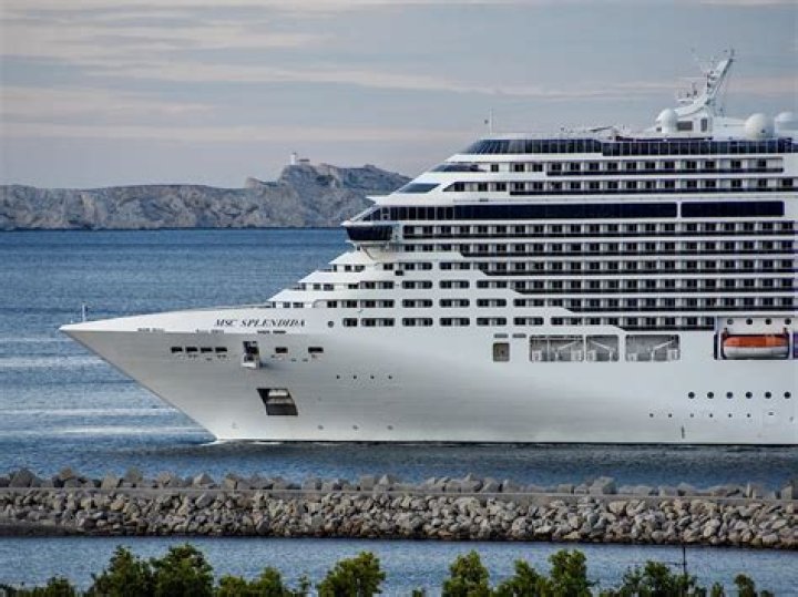 MSC Cruises says a passenger jumped from one of its ships while sailing from Europe to South America