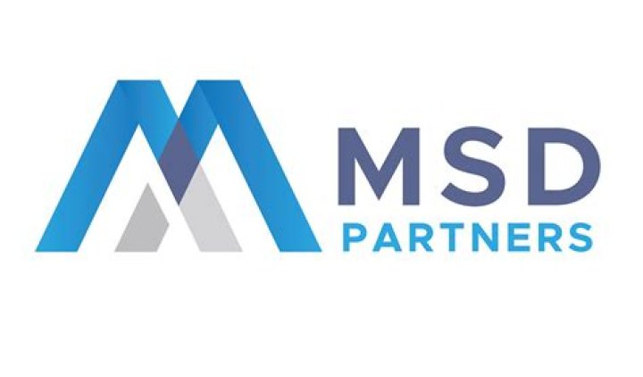 
Msd Partners, L.P. (New York)
