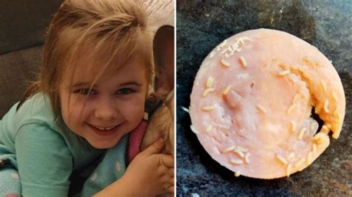 My daughter, 7, vomited after finding gross MAGGOTS in her Dairylea Lunchables - she screamed when she found the bugs