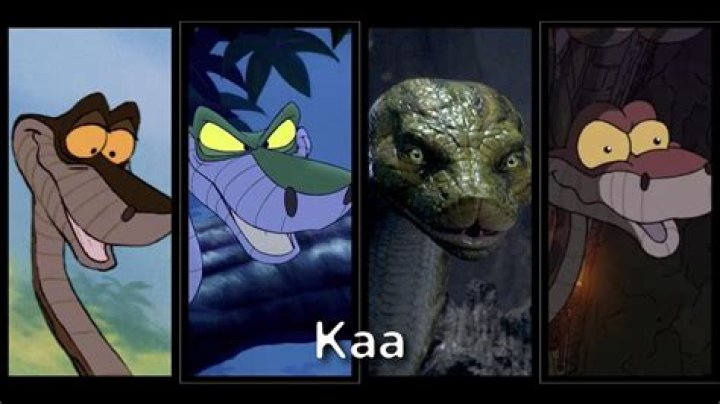My Issue With Kaa In 'The Jungle Book,' As A Female Film Lover, Is Complicated