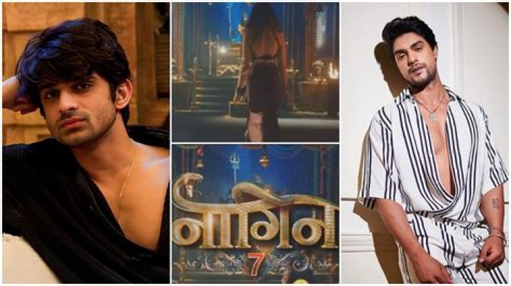 Naagin 7: Along with Ankit Gupta, Bigg Boss 17 first runner-up Abhishek Kumar receives offer for Ekta Kapoor’s new drama