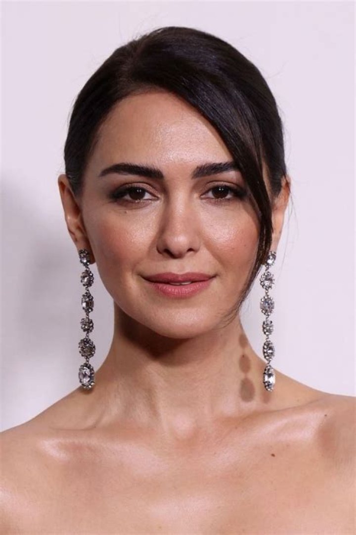 Nazanin Boniadi Plastic Surgery: Before And After Photo