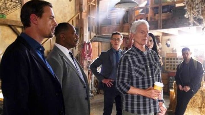 NCIS spoilers: Watch sneak peek with brand new cast member