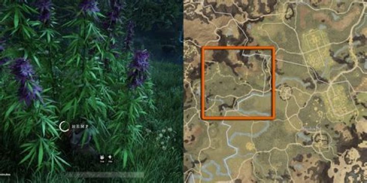 New World: Where to Find Hemp