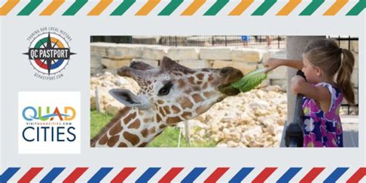 Niabi Zoo and QC Autism Society hold their 1st sensory inclusion day