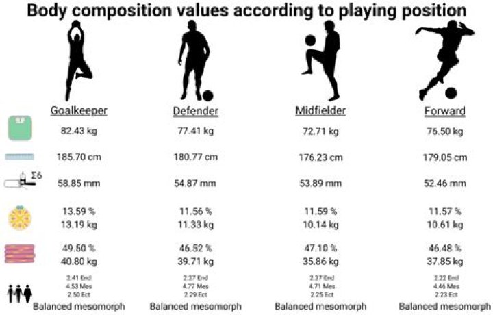 Niles Neumann Height: Exploring The Physical Attributes Of A Rising Star