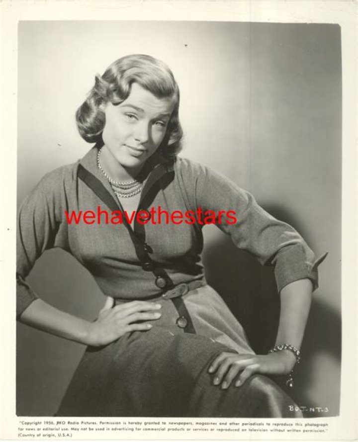 Nita Talbot Net Worth 2024