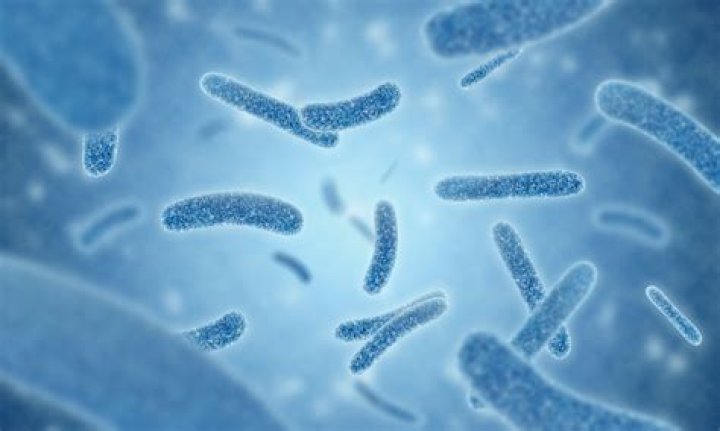 OSHA: Thomson Prison at risk of exposure to legionella bacteria