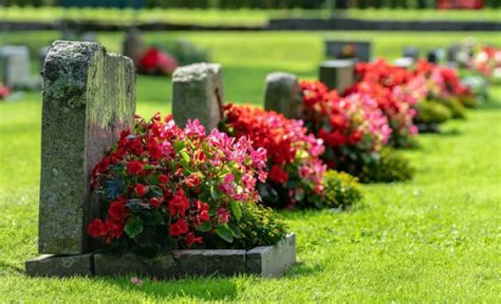 Paizley Wilburn Obituary-Death News; Account Executive, Sales & Marketing at JumpCrew, Paizley Wilburn Found Dead