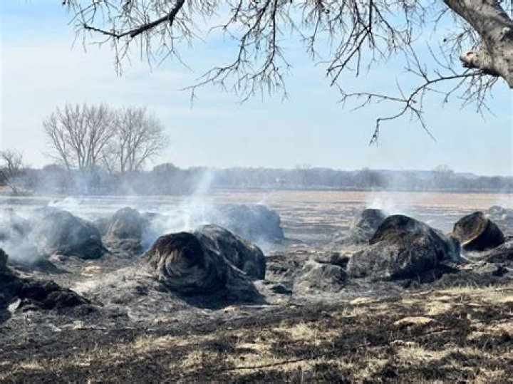 PHOTOS: Texas wildfire grows to one of largest in state history