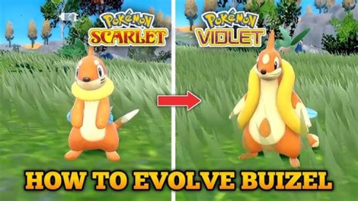 Pokemon Brilliant Diamond/Shining Pearl: How to Evolve Buizel