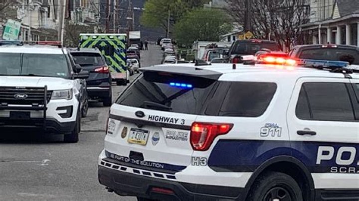 Police search West Locust Street early Monday after report of gunfire
