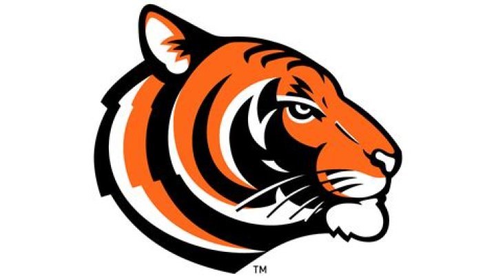 Princeton Tigers roar back for Regional win