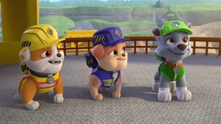 Property Brothers' Drew Scott Guest Starring on PAW Patrol Spinoff Rubble & Crew