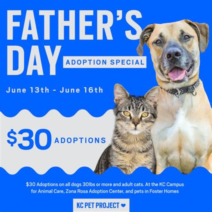 Quad City Animal Welfare Center presents ‘It’s Your Lucky Day’ adoption special