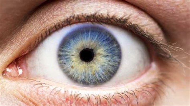 Que es la isocoria