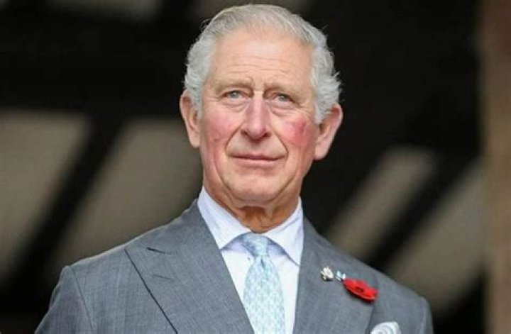 Quel Âge A Le Roi Charles : L'âge actuel du Roi Charles, futur monarque britannique