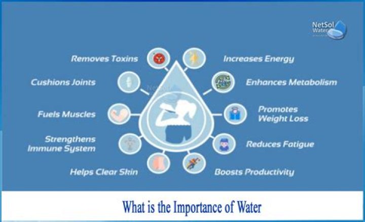 Quiero Agua: Understanding The Importance Of Water In Our Lives