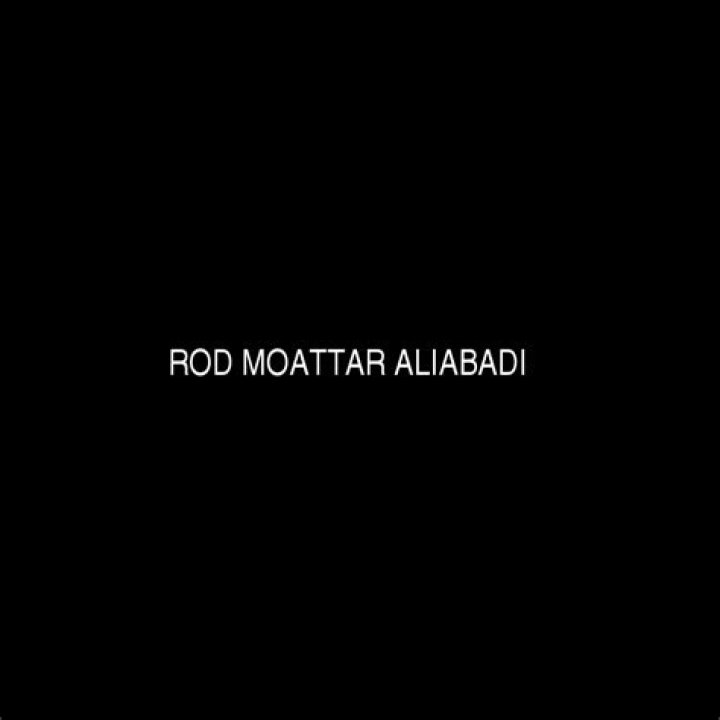 Rod Aliabadi Net Worth (2024) | wallmine