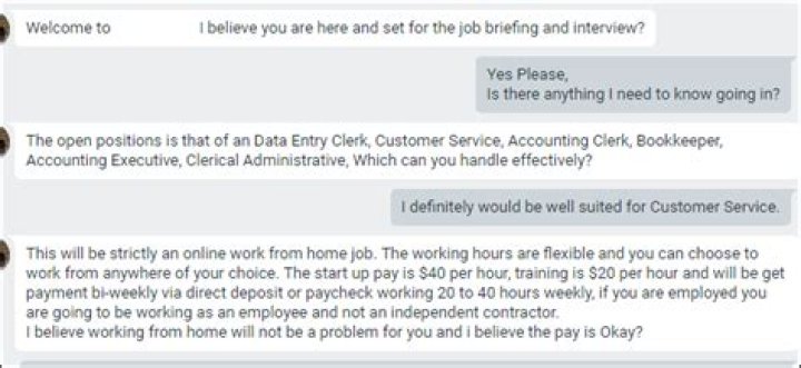 Scam Alert: Fake Job Recruiters Tried to Catfish Us, Here’s What Happened