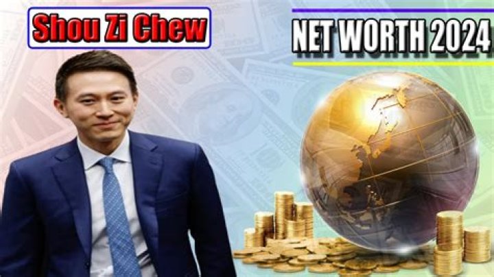 Shou Zi Chew Net Worth (2024)