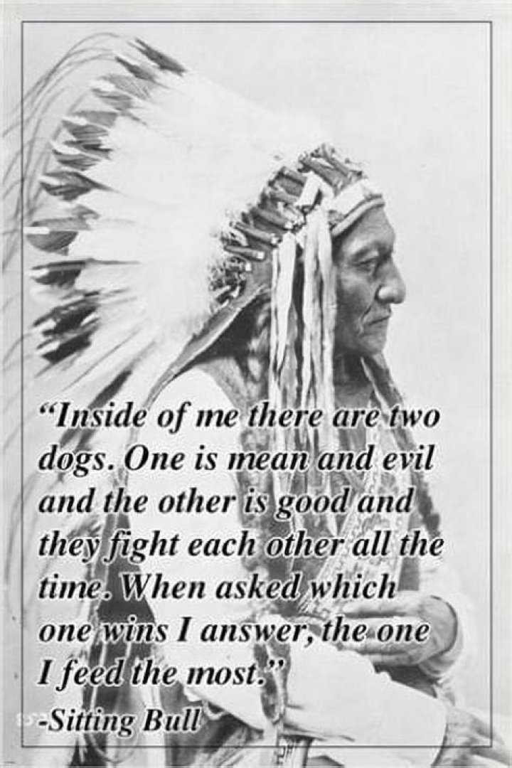 Sitting Bull - Tribe, Death & Quotes
