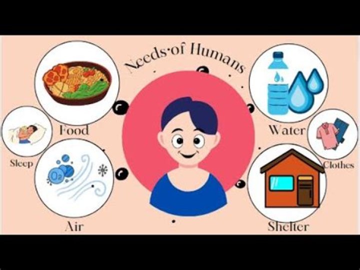 Six Things It Needs (And Three It Needs to Avoid)