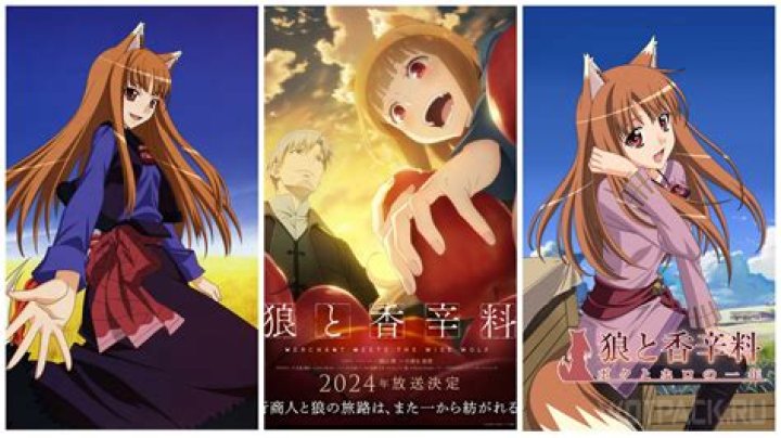 Spice and Wolf Archives | The Nerd Stash %