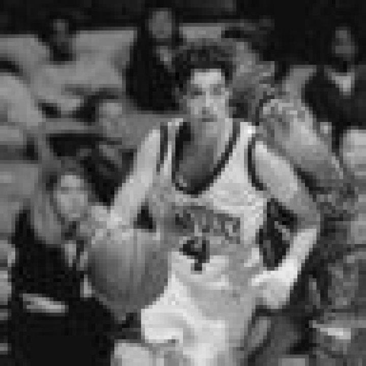 Stacey Reed Sheppard Wikipedia And Age: Jeff Sheppard Wife