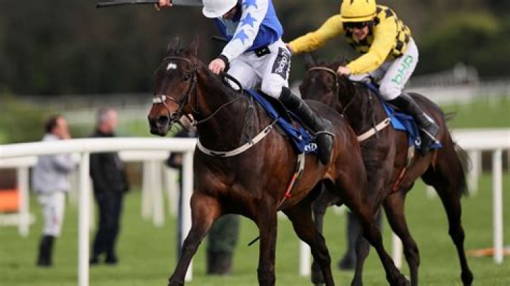 Star chaser Kemboy banned from racing as Supreme Racing Club face allegations of financial misdemeanours