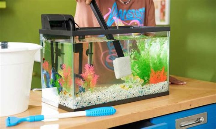 Star Wars Jedi: Survivor fish tank – How to clean the tank