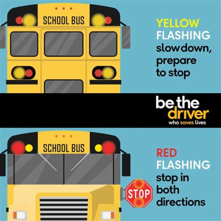 Stopping for school buses in Illinois: What are the laws?