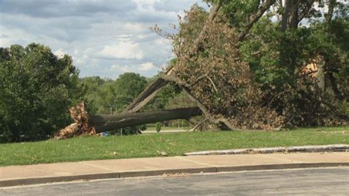 Storm damage in Clarence, Iowa